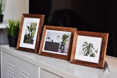 白色金属柜上的三张植物照片